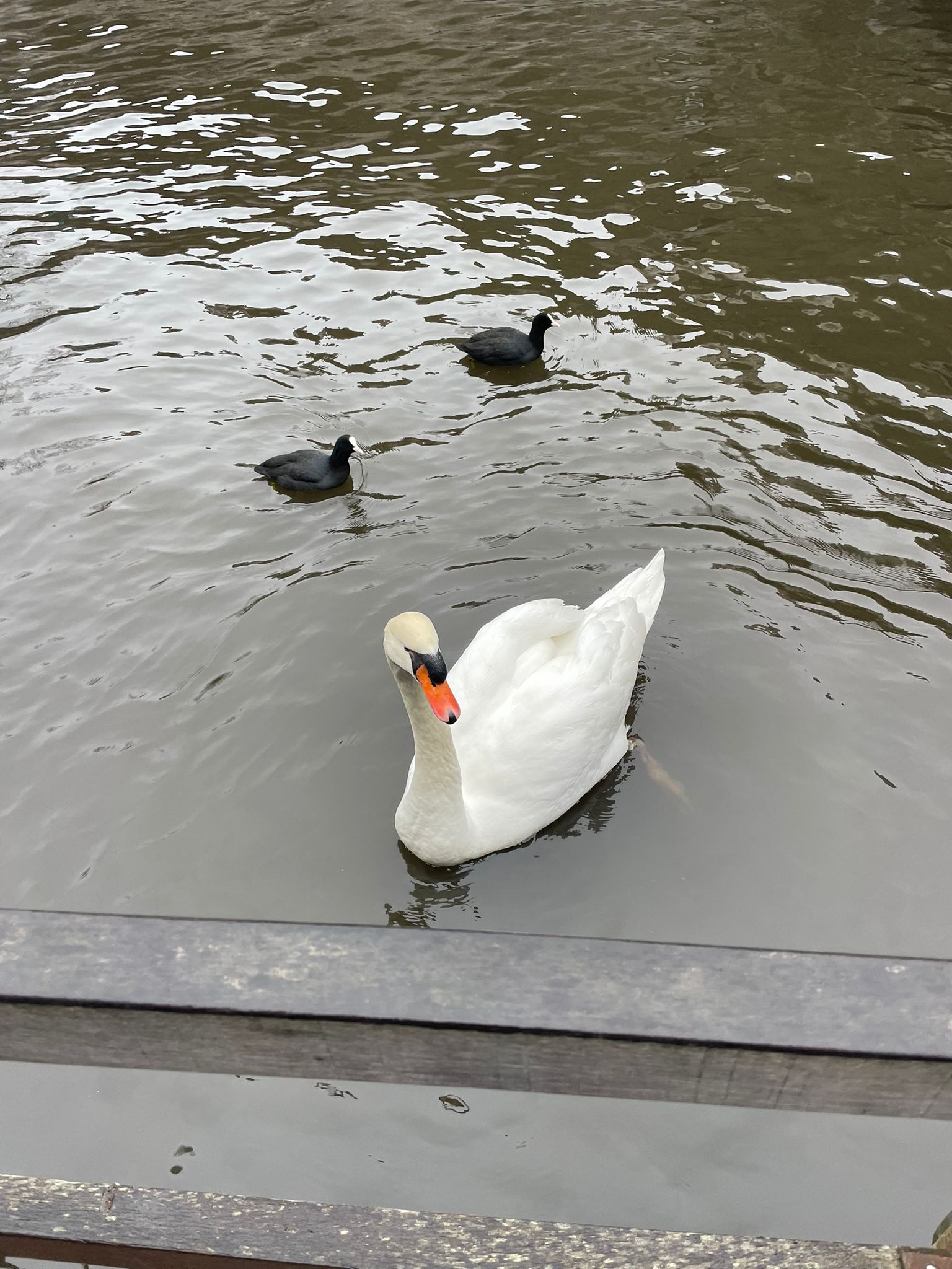 Sint-Martinus den XIIde - Winterkamp JVK 2024